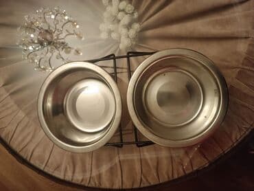 It və ya pişik qabı