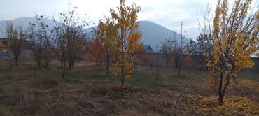 sahə: 10 sot, Tikinti, Mülkiyyətçi — 6