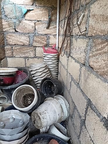 alaqanqal yağı rus dilinde: 3-5 litr həcmində plastik bitki qabları. Vəndam kəndindedir . Qiymət — 3