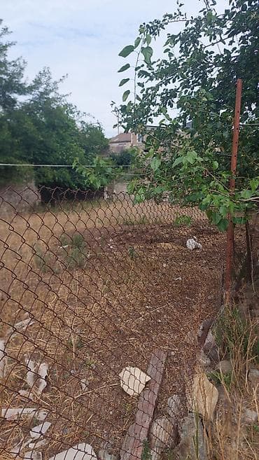 Daşınmaz əmlak: 7 sot, Tikinti, Mülkiyyətçi, Kupça (Çıxarış), Texniki pasport — 5