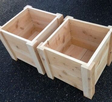 orkide qiyməti: Dibçək və dibçək atlıqlarının sifarişlə hazırlanması Qiymət minimum — 5