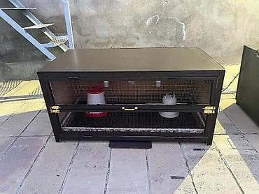 Digər heyvanlar: Cücə saxlamaq üçün Bruder.Daşına bilən çox keyfiyyətli materialla — 3