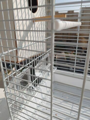 çardaq quşun yuvası: Qəfəs – quşlar üçün tam dəst - Material: möhkəm metal tor, alt — 1