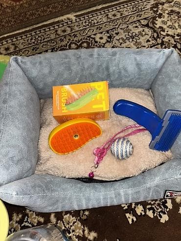 Pişik üçün tam aksesuar dəsti - Yumşaq, pişik yatağı, - Qum üçün