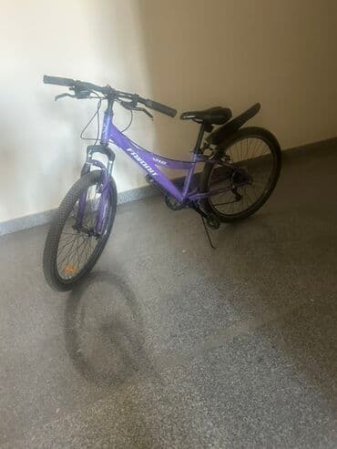 Favorit Spade uşaq/yeni başlayanlar üçün velosiped - Rəng: bənövşəyi