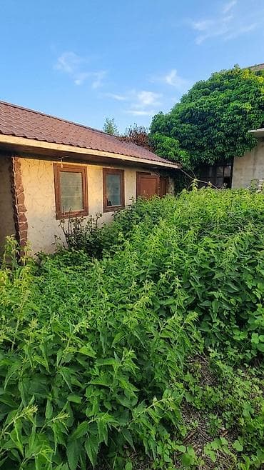 qax ilisu ev satilir: 10 sot, Biznes üçün, Mülkiyyətçi, Kupça (Çıxarış), Müqavilə — 3