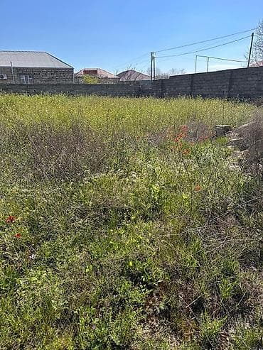 samaxida torpaq: 6 sot — 1