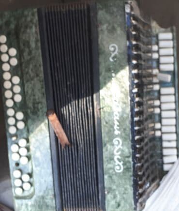 Fleytalar: Akustik Akkordeon — 1