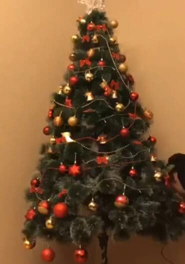 Bitkilər: 100 manata oyuncaqların sayı 80ədəddən çox, hündürlüyü 2,10 metr olan — 3