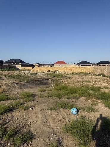 saray torpag: Tikinti — 9