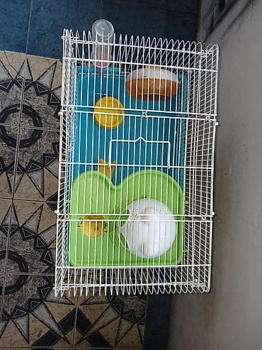 qefes: Hamster üçün tam dəst qəfəs Xüsusiyyətlər: - Metall çubuqlu, üst — 5