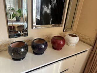 yuxuda gul ekmek: SAXSI DİBÇƏKLƏR 1 ededi 40 — 1