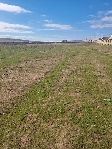 20 sot, Tikinti, Barter mümkündür, Kupça (Çıxarış)