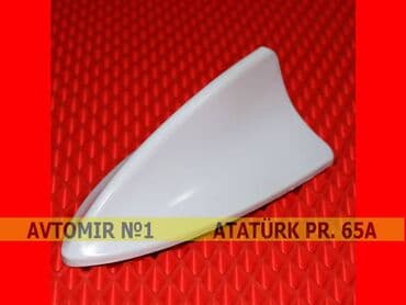 Dekorativ antenna bundan başqa hər növ avtomobi̇l aksessuarlarinin