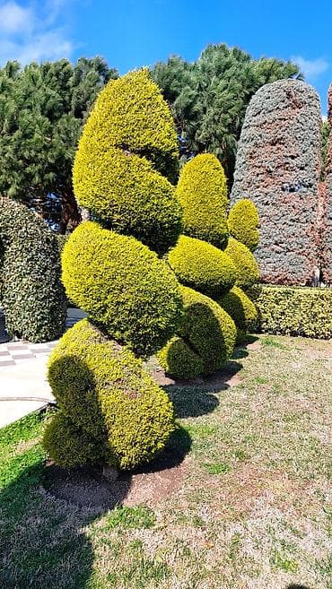 ekran sekilleri 2023: SALAM BAĞBAN İŞİ AXTARIRAM ŞUVƏLAN ZONASINDA MAAŞ RAZILAŞMA YOLU İLƏ — 1