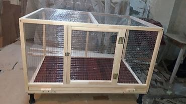 Gəmiricilər: Teze yixilma boyuk olculu qefesler.alti padnoslu ve yerden — 4