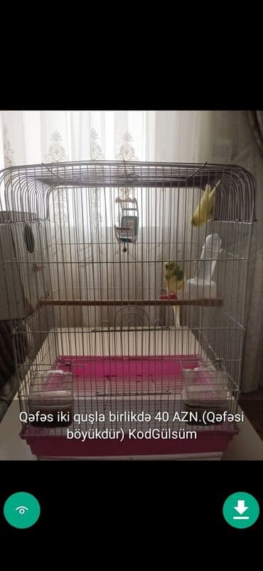 клетка для попугая купить: QUŞLAR disi erkek Şekillerde qiymətlər məlumatlar qeyd olunub unvan — 5
