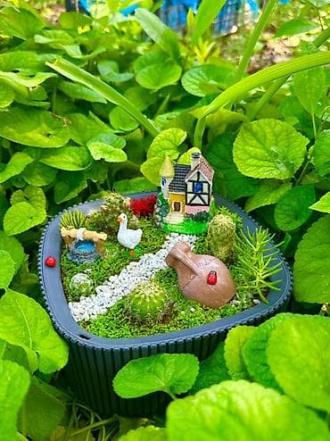 quru odun: Miniatür sukulent/teraryum kompozisiyası – “Bağ evciyi” mövzulu - — 1
