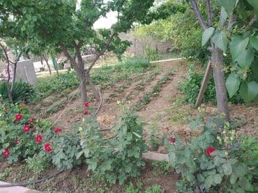 kənd əhmədli həyət evləri: 5 otaqlı, 176 kv. m, Yeni təmirli — 28