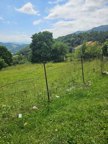 ferma icarəyə verilir: Tikinti — 7