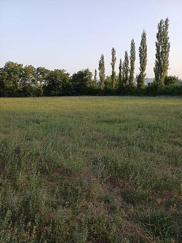 1 sot nece kvadrat metrdir: 80 sot, Biznes üçün, Mülkiyyətçi, Kupça (Çıxarış) — 7