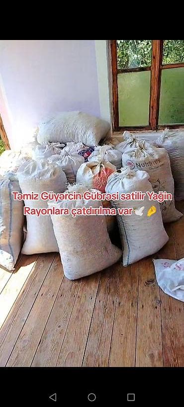 otaq bitkiləri: Məhsul: Təmiz göyərçin gübrəsi Təsvir: - Təbii, qidalı orqanik gübrə — 1