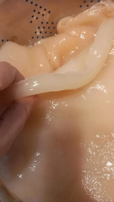 qedimi balta: Təbii ev üsulu ilə hazırlanmış alma sirkəsi - Xammal: şəkərsiz — 5