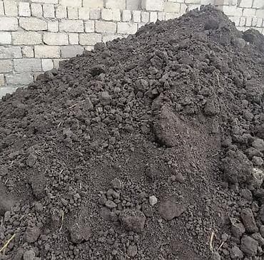 meyve ağacları: Məhsul: Qara torpaq (landşaft və bağçılıq üçün) Təsvir: - Təbii, qida — 3