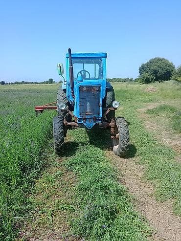 3D panellər: Belarus 50 kacilka 190 dirmiqla satılır. senedleri qaydasindadi — 6