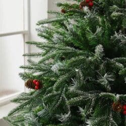 yolka ağacları: Kremovski yolka 701 — 3