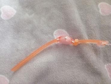 kiwi saati: İşlənmiş, Qol saatı, Quartz, rəng - Bənövşəyi — 3