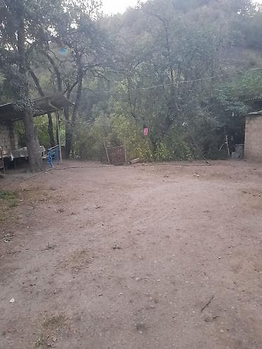 bineqedi heyet: 500 kv. m, 2 otaqlı, İşıq — 6