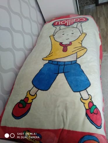 dash yunu qiymeti: Pled — 1