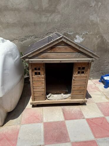 Pişiklər: It yuvasi unvan bine savxoz az iwlenib — 1