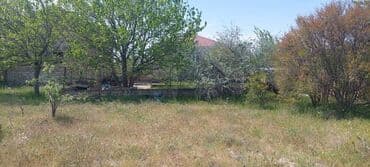 goradilde torpaq: 9 sot, Tikinti, Makler, Kupça (Çıxarış) — 1