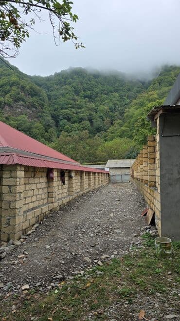 недвижимость в кусарах: 5 sot, Tikinti, Mülkiyyətçi, Kupça (Çıxarış) — 1