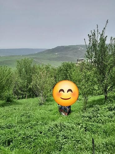 gunluk kiraye bag evleri: Dağ mənzərəsi və meyvə bağları ilə kənd evi Real alıcıya endirim — 2