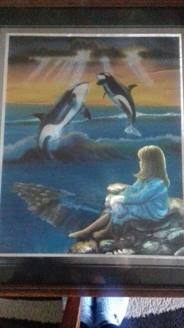 ən gözəl it şəkilləri: Çərçivə — 1