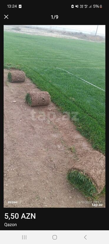 Qızdırıcı və isidicilər: Rulo qazon – hazır əkilmiş, sıx və yaşıl örtük. Xüsusiyyətlər: - Rulo — 1