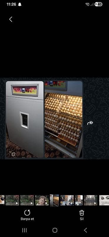1100 yumurta, Tam avtomat