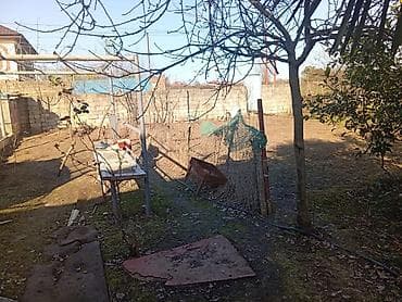 samaxida kiraye evler: Salam ev yerləşir Lənkəranda kəndində 6 sot torpaq sahəsi komnalar — 3