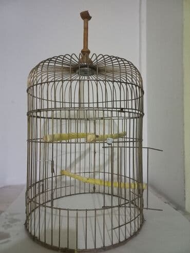 клетка для попугаев: Zədəsiz,ideal vəziyyətdə.Zavod malı,3 qapılı.Hündürlüyü 50 sm — 4