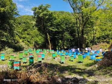 дистиллированная вода баку: Мёд — 1