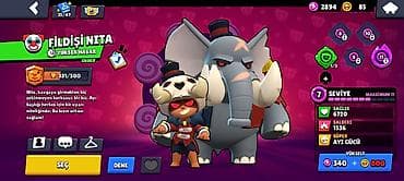 Digər: Brawl Stars hesabı – yüksək inkişaflı və nadir məzmunlu - Kupa yolu — 10
