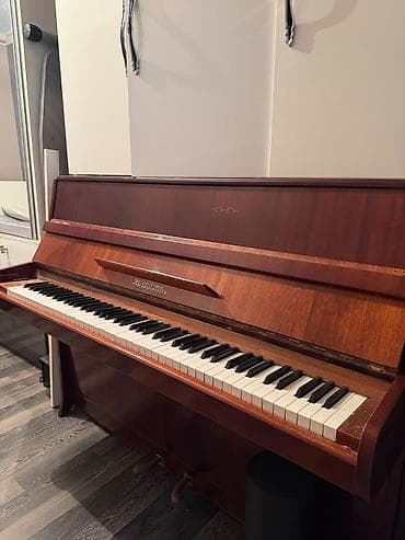 roma: Upright pianino – Юность ) modeli - Korpus: parlaq tünd qəhvəyi taxta — 7