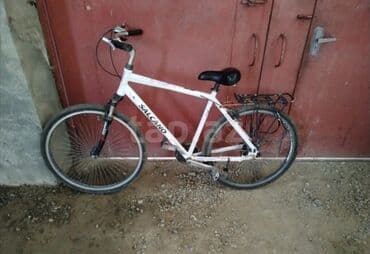 Şəhər velosipedi Salcano, 29"