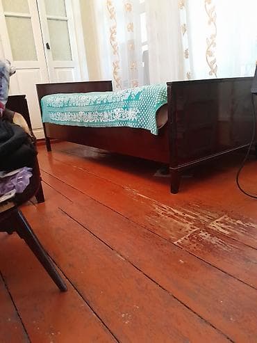 gözəl pişik şəkilləri: Yataqlar — 2