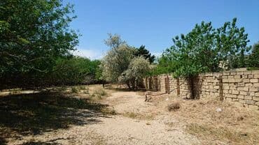 sulutəpə çiçək qəsəbəsi: 12 sot, Tikinti, Makler, Kupça (Çıxarış) — 4