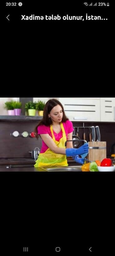 Ev köməkçisi, 42 il, 5 ildən artıq təcrübə