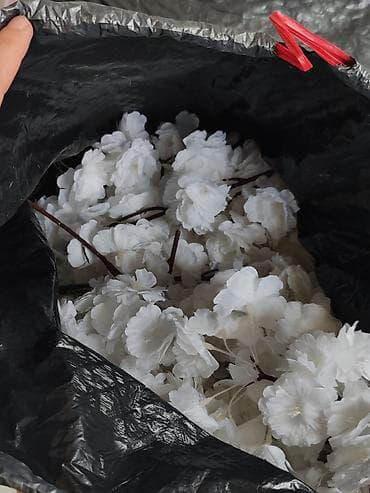 toxunma guller: 650azne alinib 450azn obtavoy satilir. Ayri-ayri xerclenir. Süni — 3